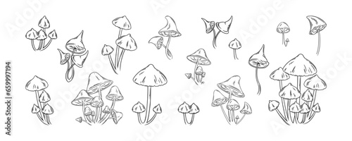 Fototapeta Naklejka Na Ścianę i Meble -  Forest mushrooms set. Psychedelic and edible mushrooms for nature aesthetics designs. Vector illustration isolated in white background