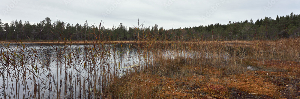 A cloudy day in fall by the small Furuputten Lake up in the Totenåsen Hills.