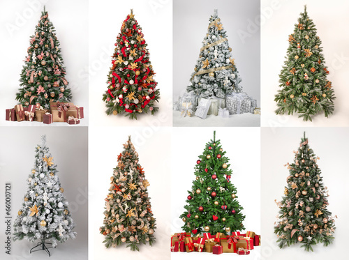 A collection of 8 beautiful decorated Christmas Trees