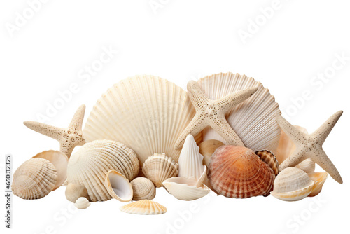 Seashells on White Background Generative AI