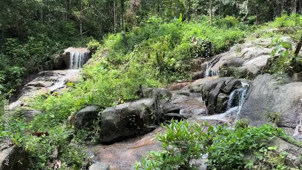 Tropical mountain waterfall in rainforest. Small cascade water from rocks.Small mountain river with clear water. Water flows over the stones overgrown with moss in green forest.