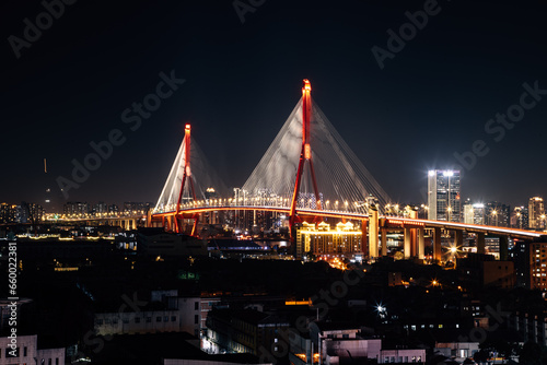 Yangpu Bridge, Yangpu District, Shanghai - low angle view of the illuminated bridge at night