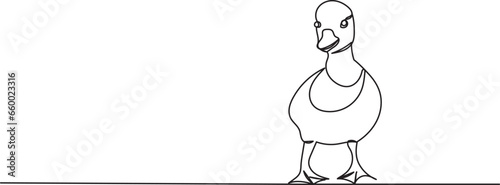 duckling line drawing, sketch, on a white background, vector