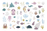 Bright set with various sea animals, water plants, shells, stones.
