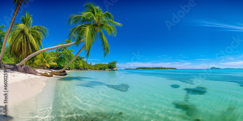 Idyllic Paradise: Panoramic View of a Tropical Island Beach with Palm Trees and Crystal-Clear Water, Inviting Serenity and Escape