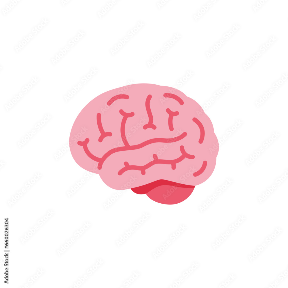 🧠 Brain 🧠 Brain