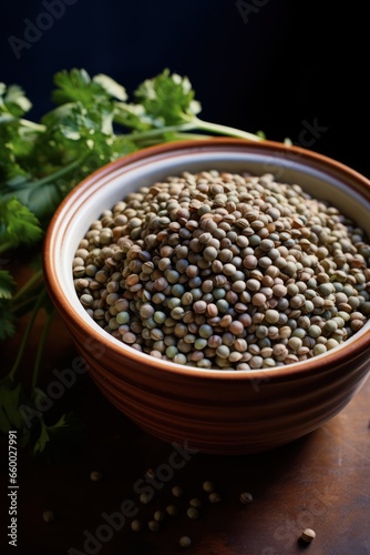 overhead view of brown lentils in bowl