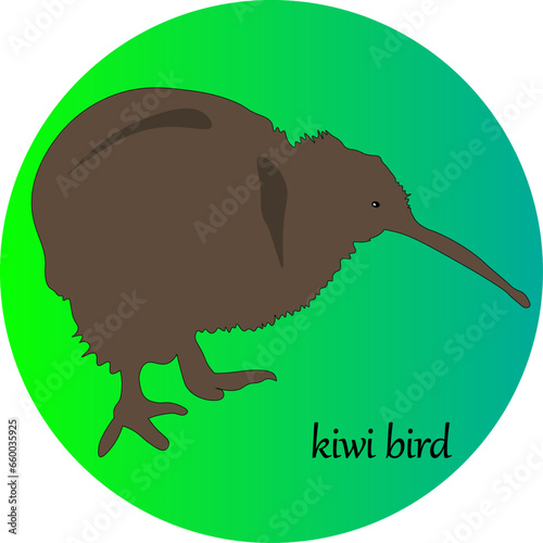 Simple vector image of a kiwi bird, can be used as logotype or icon
