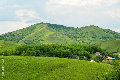 Typische grüne Landschaft mit Bäumen und Berge bei blauem Himmel near Berca in Buzău County, Wallachia, Romania