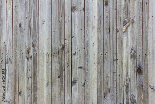 Old wooden background made of thin boards. The old wooden wall darkened with time, with many nails.