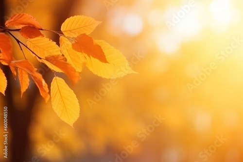 Autumn leaves blurred background