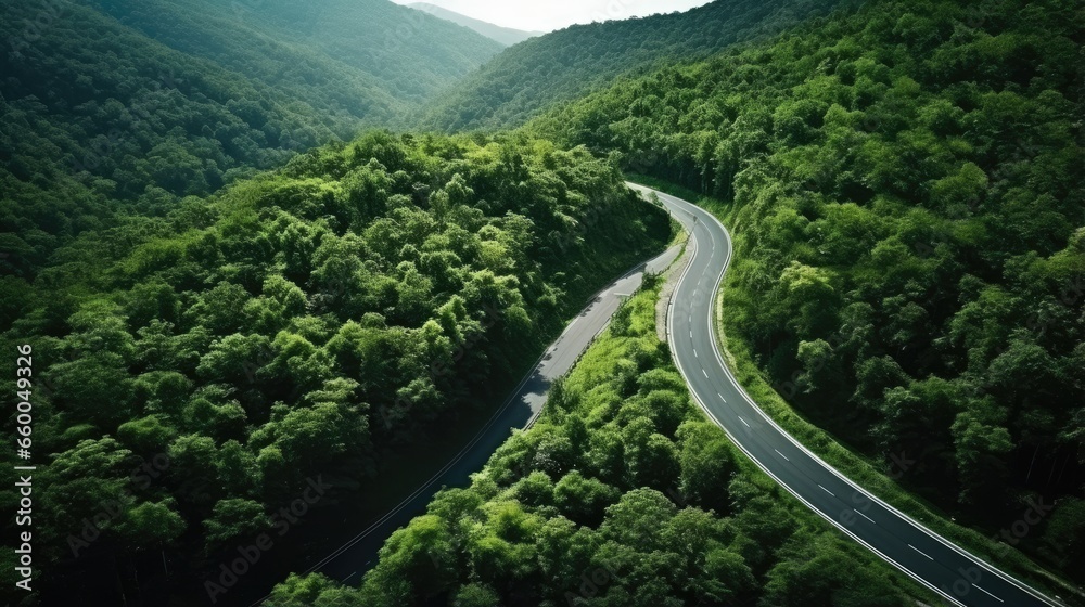 Forest road with aerial view and moving car Forest road with aerial view and moving car