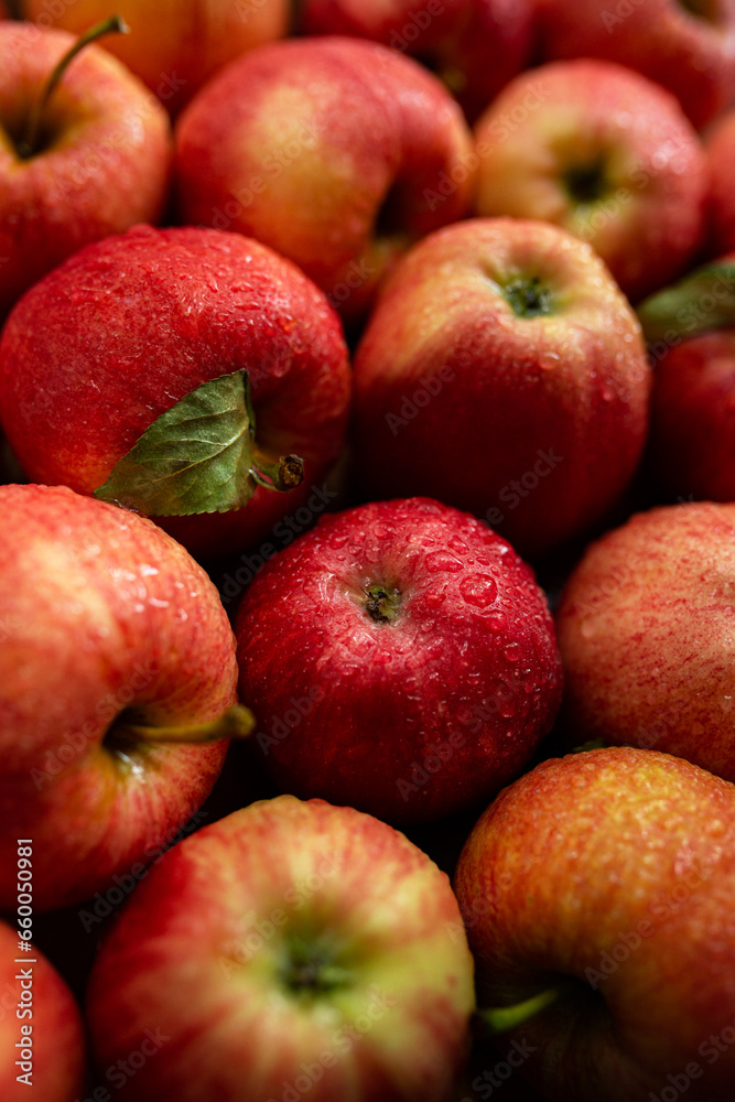Apples of red-yellow color close-up Apples of red-yellow color close-up