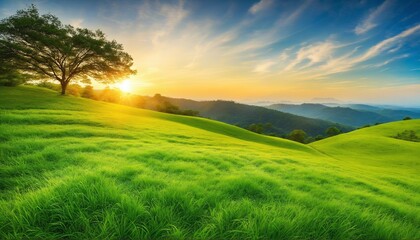 Abstract Soft Focus on Lush Greenery and Blue Skies