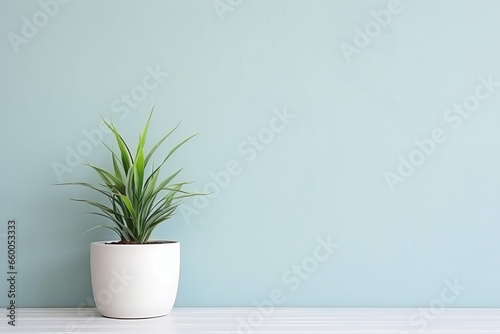  Potted Plant in front of Wall