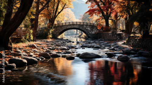 Experience the enchanting beauty of an autumn forest with colorful foliage and a footbridge. 