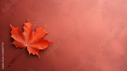 Autumn maple leaf on plain background. Flat lay, top view