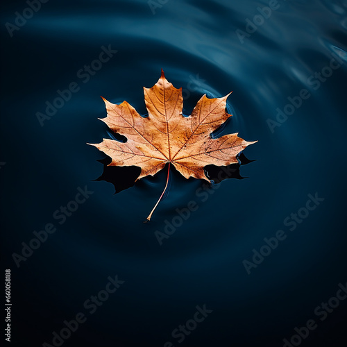 Autumn maple leaf on water surface with ripples. Copy space.