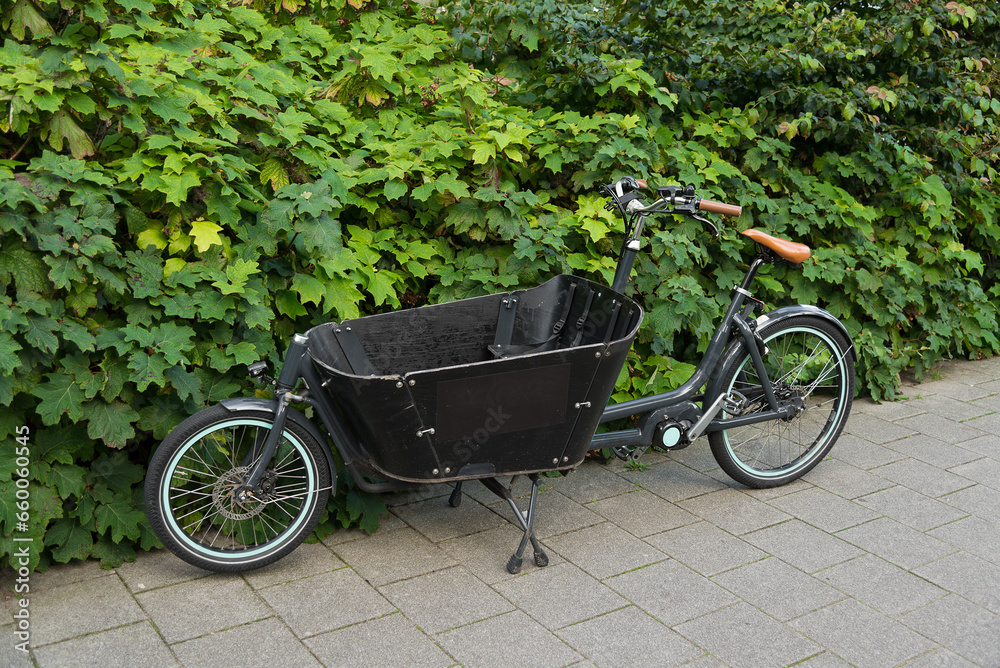 Front load children trike. Cargo bicycle for a load