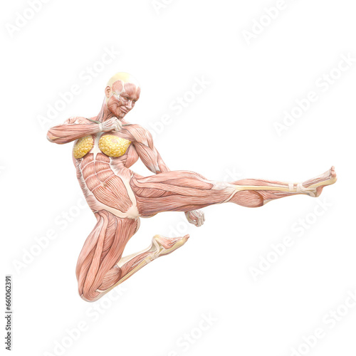 female swole muscle maps on action jump kick pose