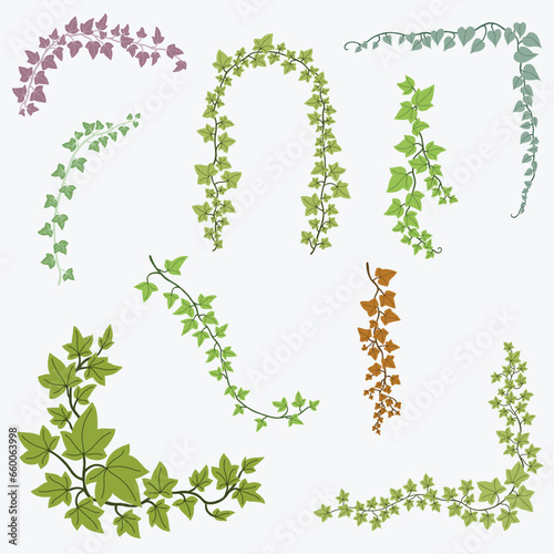 Floral ivy drawing decorative ornament flat design collection.