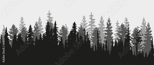 Spruce tree silhouette. Pine tree silhouette