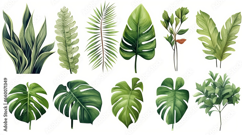 set of Exotic plants, palm leaves, monstera, watercolor vector illustration - obrazy, fototapety, plakaty 