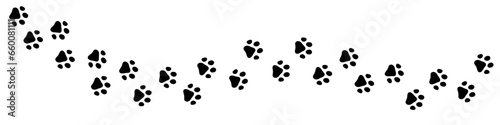 Vector paw trail of animal footprint. Dog or cat tracks isolated on white background.