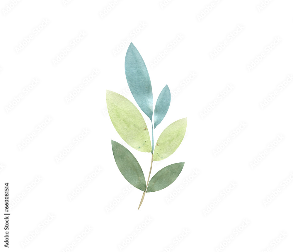 Watercolor green twigs with leaves, isolated on a white background