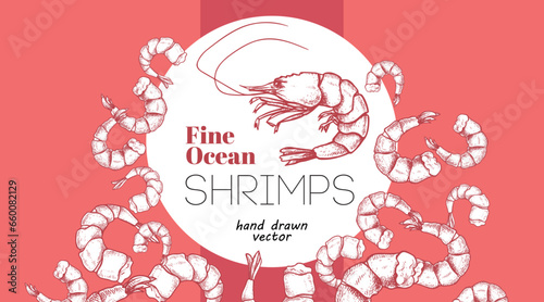 Seafood banner design template. Hand drawn fine ocean shrimps. Best for restaurant menu  seafood banners  flyers design. Vector illustration.