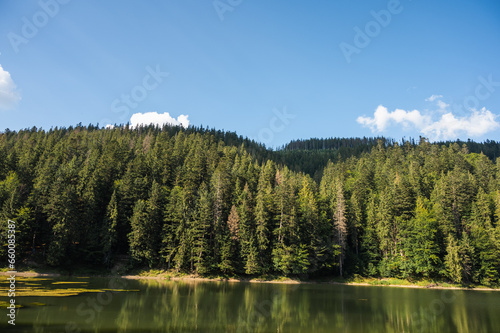 Fototapeta Naklejka Na Ścianę i Meble -  lake Synevyr in the Ukrainian mountains