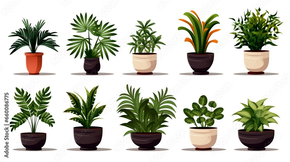 Create the perfect patio atmosphere with potted greenery from this collection, enhancing your outdoor space. Create the perfect patio atmosphere with potted greenery from this collection, enhancing your outdoor space.