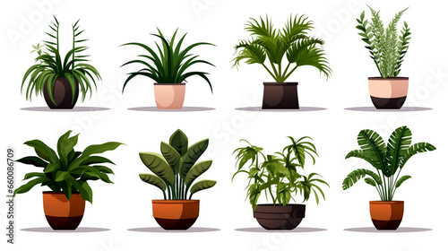An assortment of potted plants on a patio, carefully selected to enhance outdoor spaces with greenery.