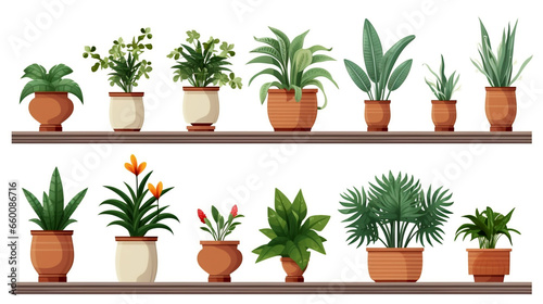 Showcase the beauty of botanicals on your patio with this collection of potted plants, ideal for display.