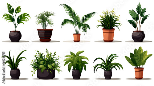 Add variety to your patio's greenscape with this diverse collection of potted plants, perfect for decor.