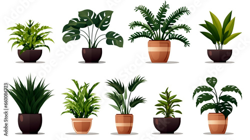 Design a green retreat on your patio using this collection of potted plants, achieving a serene ambiance.