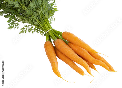 Botte de carottes	