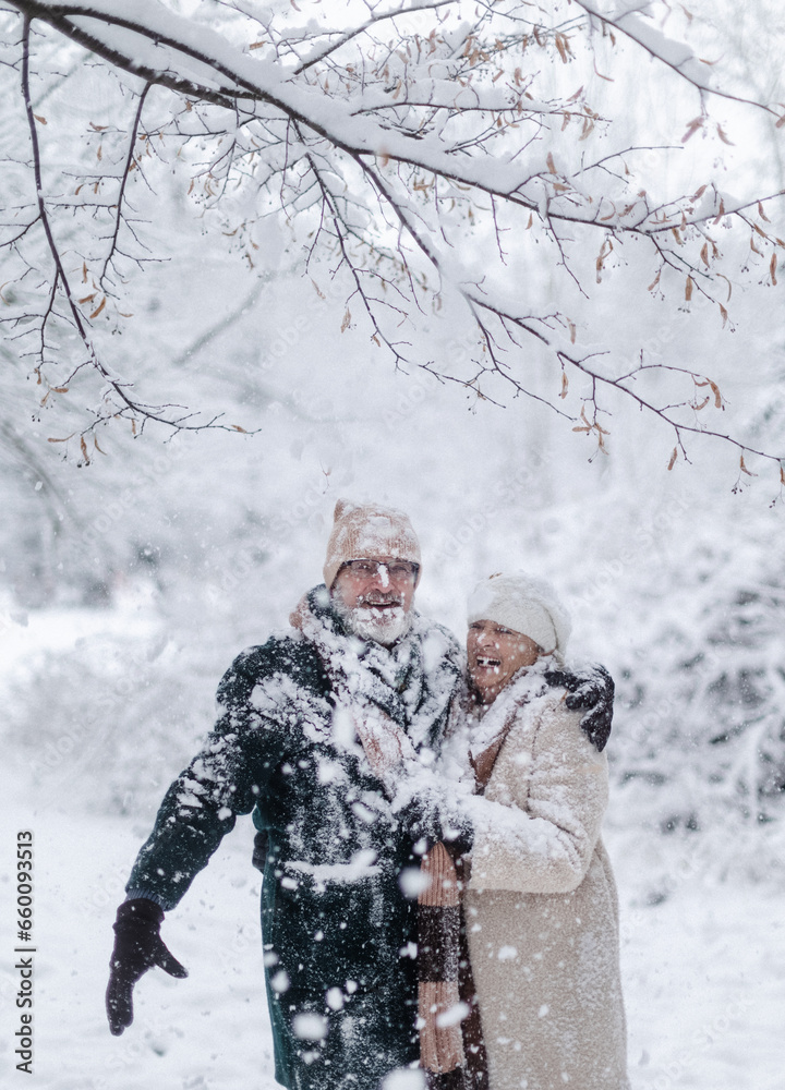 Elderly man shaking snow off the branch, laughing. Wintry landscape. Elegant senior couple walking in the snowy park. Elderly man shaking snow off the branch, laughing. Wintry landscape. Elegant senior couple walking in the snowy park.