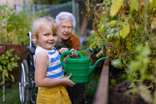 Portrait of a little adorable girl helping her grandmother in the garden, watering plants, takes care of vegetables growing in raised beds.