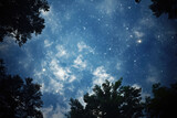 Looking Up at Starry Night Sky Through Canopy Trees, Generative AI