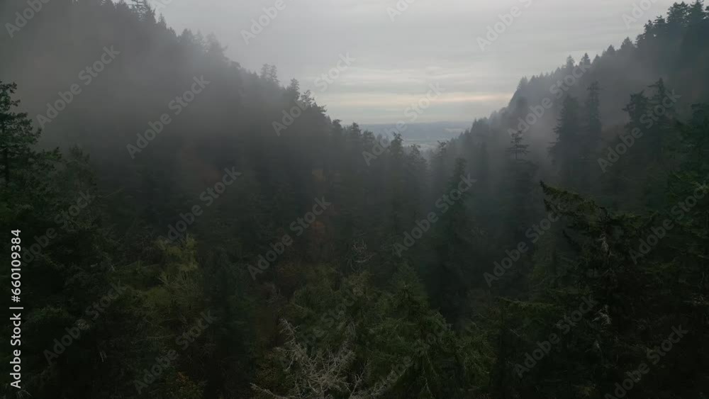 Aerial wide shot of Rainy weather in mountains. Fog blowing over pine tree forest. Wide shot Aerial wide shot of Rainy weather in mountains. Fog blowing over pine tree forest. Wide shot