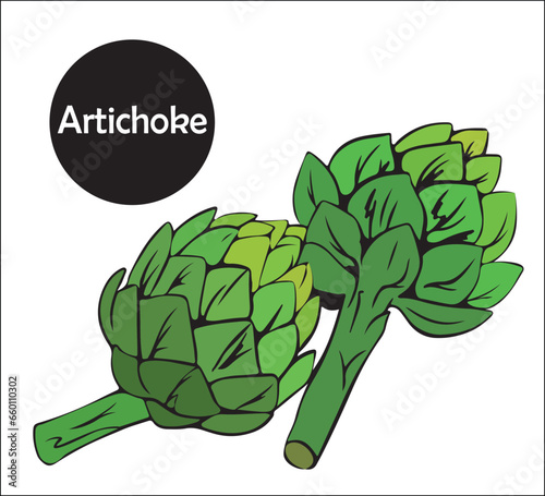Two whole green artichokes, raw edible cynara flower buds, organic italian vegetable food. Fresh artichoke isolated on white.