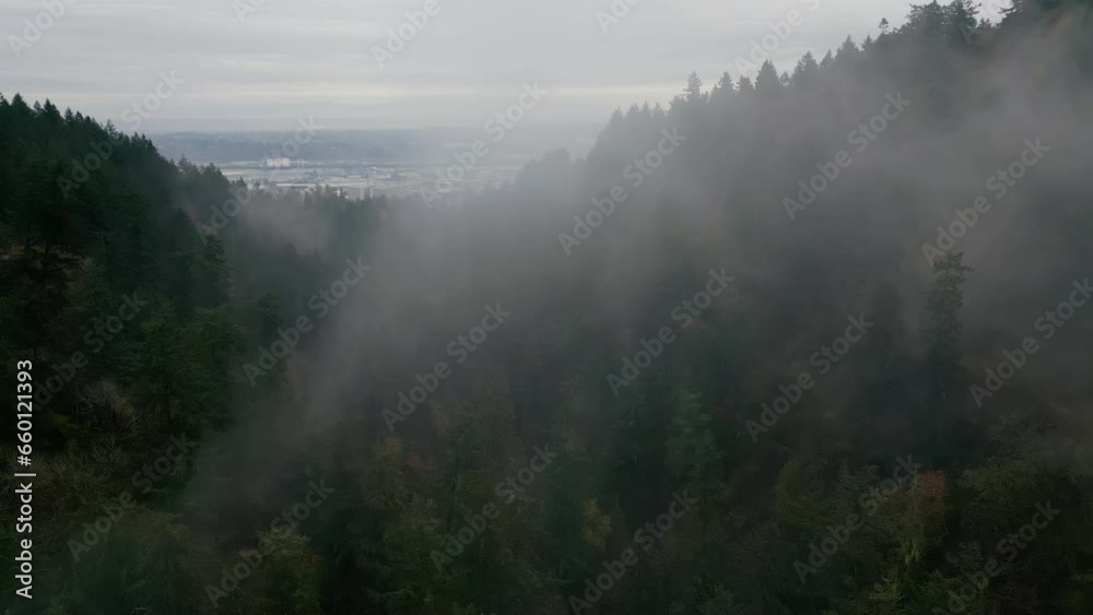 Drone wide shot of Rainy weather in mountains. Fog blowing over pine tree forest. Aerial Wide footage Drone wide shot of Rainy weather in mountains. Fog blowing over pine tree forest. Aerial Wide footage