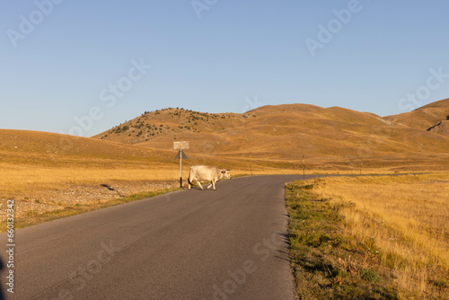 Gran Sasso at sunrise