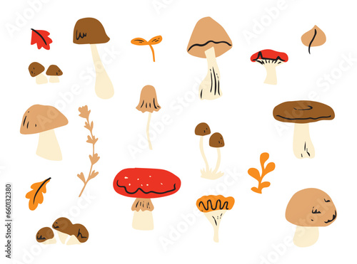 Mushroom set of vector illustrations isolated on white. White mushroom, chanterelles, honey agaric, mushrooms, fly agarics. Cartoon style.