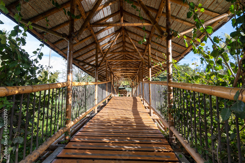 Wooden bridge in the José Celestino Mutis botanical garden. Bogota, Colombia.  photo