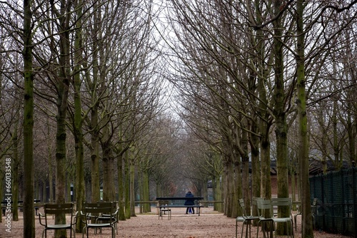 Jardin du Luxembourg, 1 © Dan