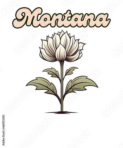 Montana bitterroot State Flower with text, transparent png photo