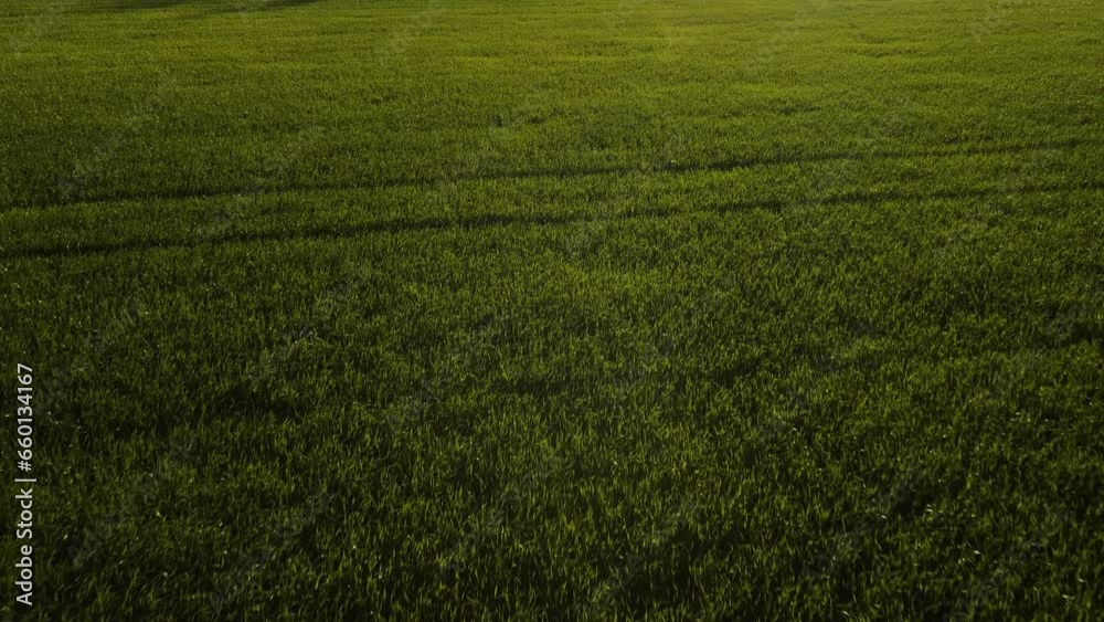 Aerial view of the green fields and landscape. Agricultural view on a summer day. Aerial view of the green fields and landscape. Agricultural view on a summer day.