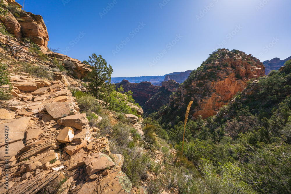 hiking the grandview trail in the grand canyon national park, arizona, usa